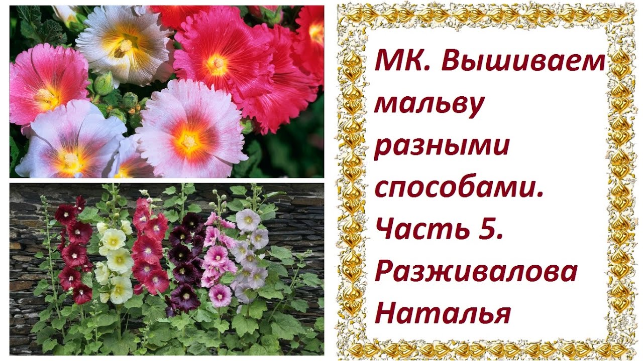 МК. Вышиваем мальву. Часть 5.