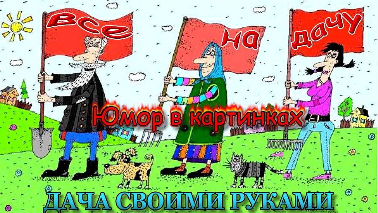 Дачникам посвящается, анекдоты в картинках. Май, Труд, Картошка.