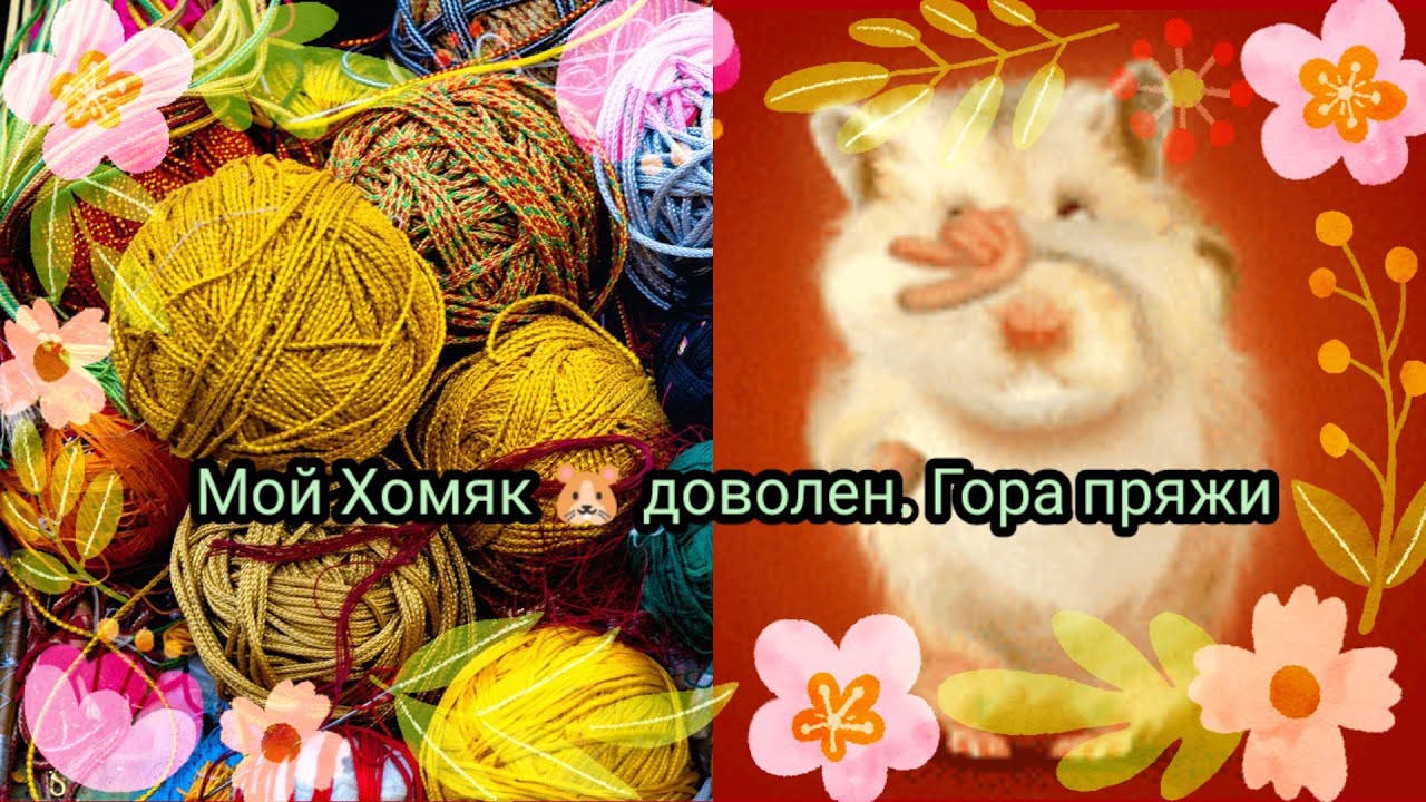 Мой Хомяк 🐹 доволен. Гора пряжи.
