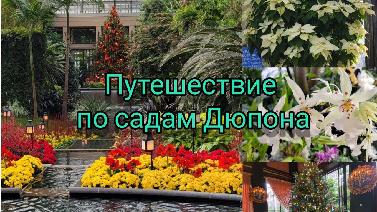 С Новым годом! Последнее видео в 2021 году! Сады Дюпона в Пенсильвании. Longwood gardens.