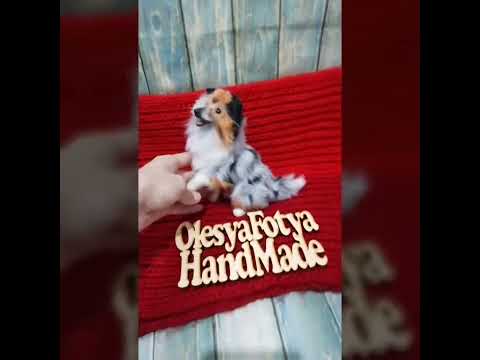 Моя вторая колли