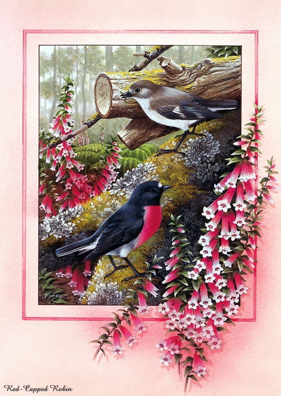 Птицы.