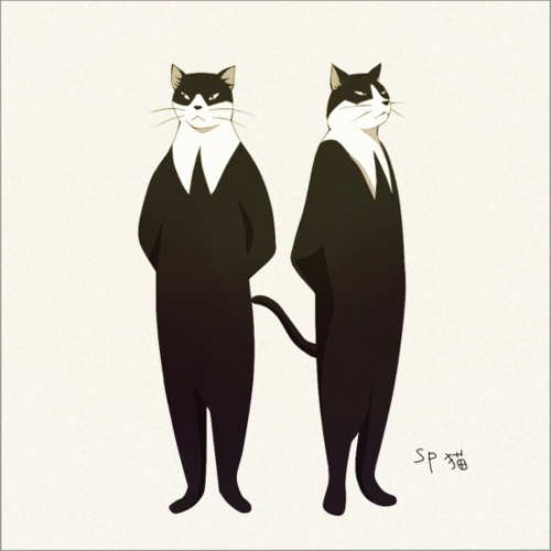 Кошки РАЗ