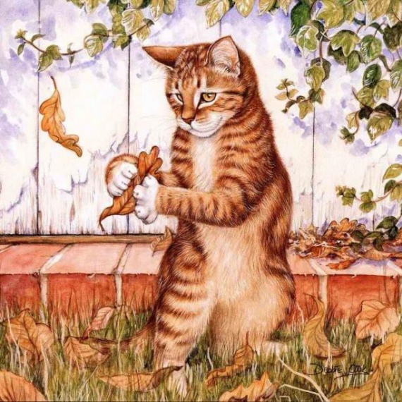Кошки ДВА