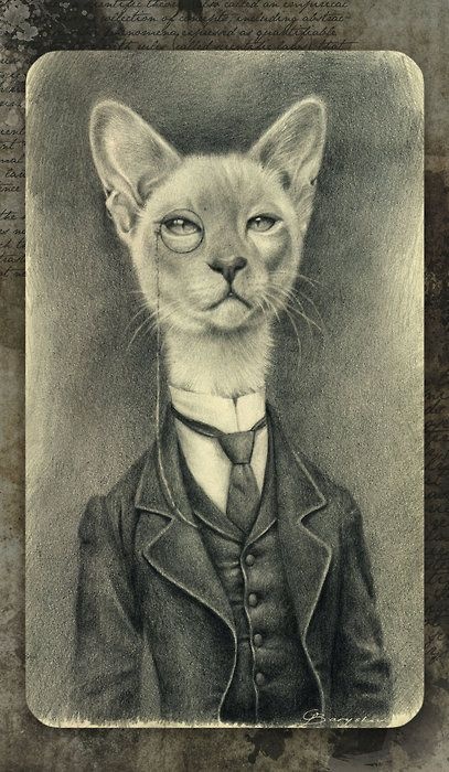 Кошки ТРИ