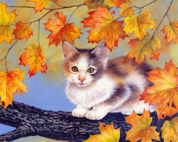 Кошки ТРИ