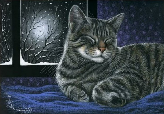 Кошки ТРИ