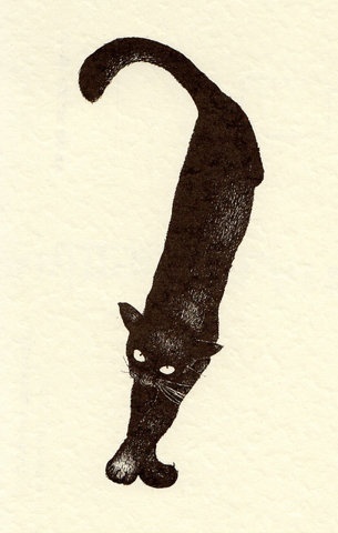 Кошки ТРИ