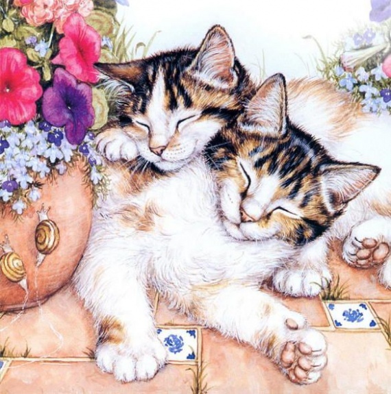 Кошки ТРИ