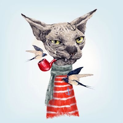 Кошки ТРИ