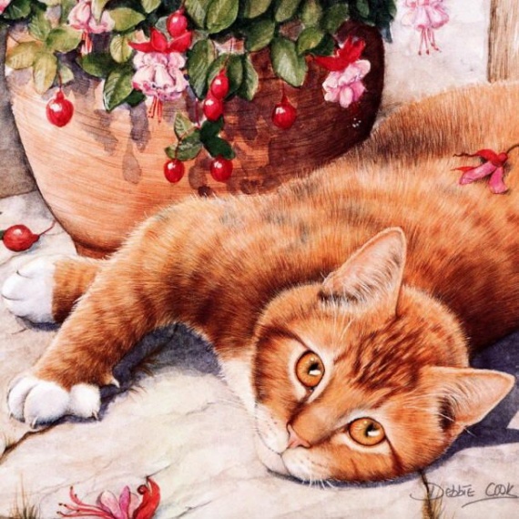 Кошки ТРИ