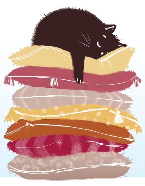 Кошки ТРИ