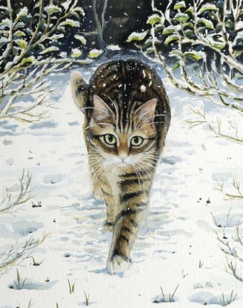 Кошки ТРИ