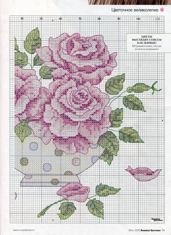 Розы