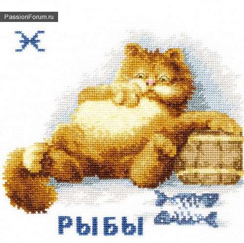 кот рыбы